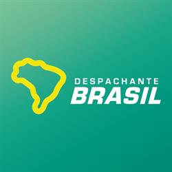 Despachante Brasil - Mauricio Lehmkuhl