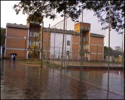 Caixa Escolar Da Escola Estadual De Ensino Medio Agronomo Pedro Pereira