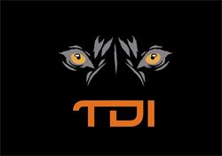 Tdi Engenharia & Emergencias