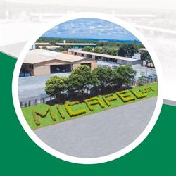 Micapel