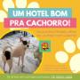 hotel pra cachorro