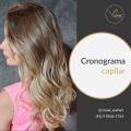 Cronograma-Capilar