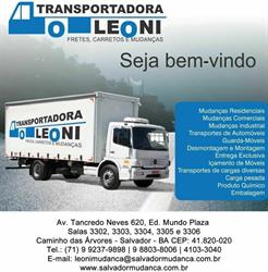 Leoni Salvador Mudança
