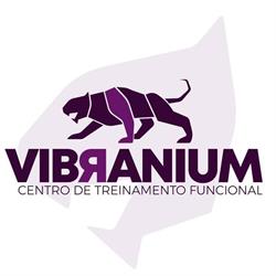 Vibranium Centro de Treinamento