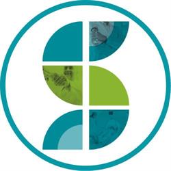 SONIMED - Medicina Diagnóstica