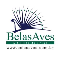 Belas Aves