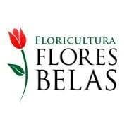 Flores Belas