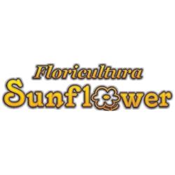 Floricultura Sunflower