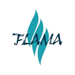 Clínica Flama S/S