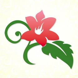 Plante Fácil Comércio de Mudas e Jardinagen