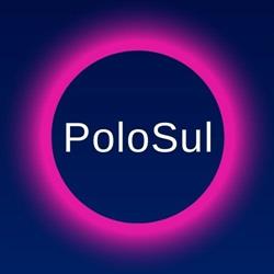 Polo Sul Shoes