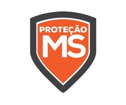 Proteção Seguros