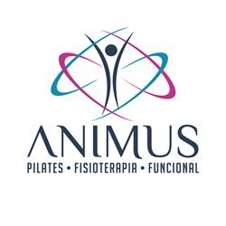 Animus Clínica - Pilates, Fisioterapia e Treinamento Funcional