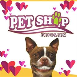 Pet shop bichos.com