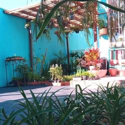 Casa Flor Paisagismo Ourinhos