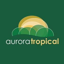 Cestas Básicas Aurora Tropical