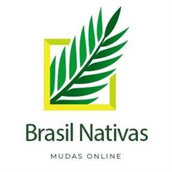 Brasil Nativas Plantas Ornamentais