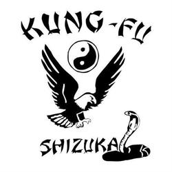 Academia de kung fu estilo Shizuka Arapongas