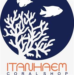 Itanhaém Coral Shop