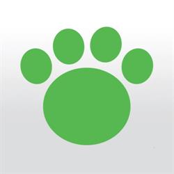 Clínica Cães e Gatos Taubaté