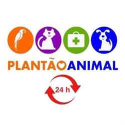 Clínica Veterinária 24h em Taubaté - Plantão Animal