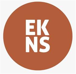 EKINESS Saúde e Movimento