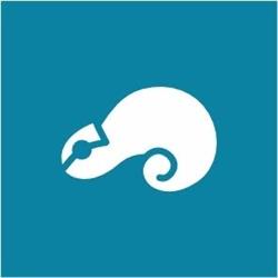 Kamaleão - Agência de Propaganda e Marketing Digital