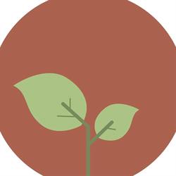 Vida na Vida produtos Naturais e Suplementos