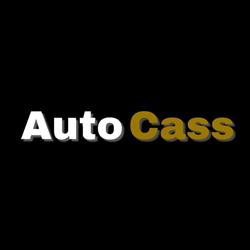 AutoCass
