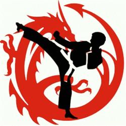 Karatê Shotokan Costa San