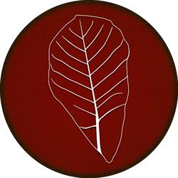 Espaço Castanhola - Restaurante em Piripiri