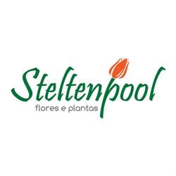 Steltenpool Flores e Plantas