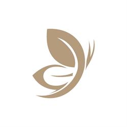 Demarco Medicina e Estética Avançada