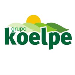 Grupo Koelpe