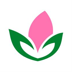 Semear Soluções Ambientais - Consultoria Ambiental