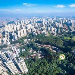 IMOBILIARIA MORUMBI HAUS