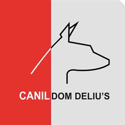 Canil Dom Deliu's
