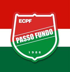 Esporte Clube Passo Fundo