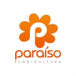 Paraíso Floricultura