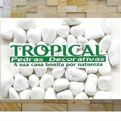 tropical pedras Decorativas