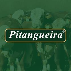 Pitangueira