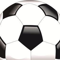 Rio Preto Esporte Clube