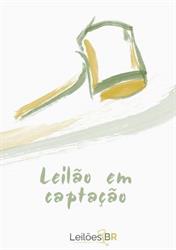 Joinville Leilões