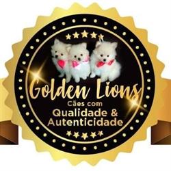 Canil Golden Lions
