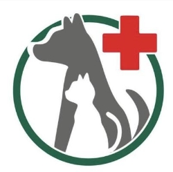 Vitta Pet Clínica Veterinária