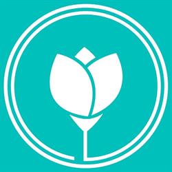Tulipa Essências
