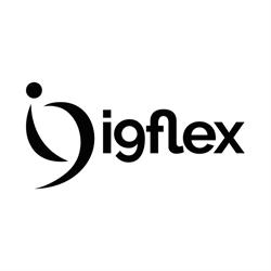 I9 Flex Soluções Corporativas