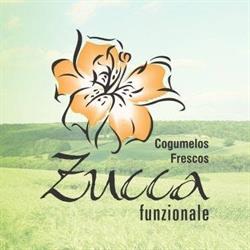 Zucca Cogumelos