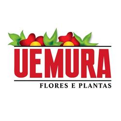 Uemura Flores e Plantas