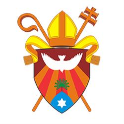 Arquidiocese de Palmas
